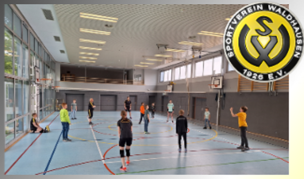 Mehr über den Artikel erfahren Volleybalschnuppern während der Sportdays